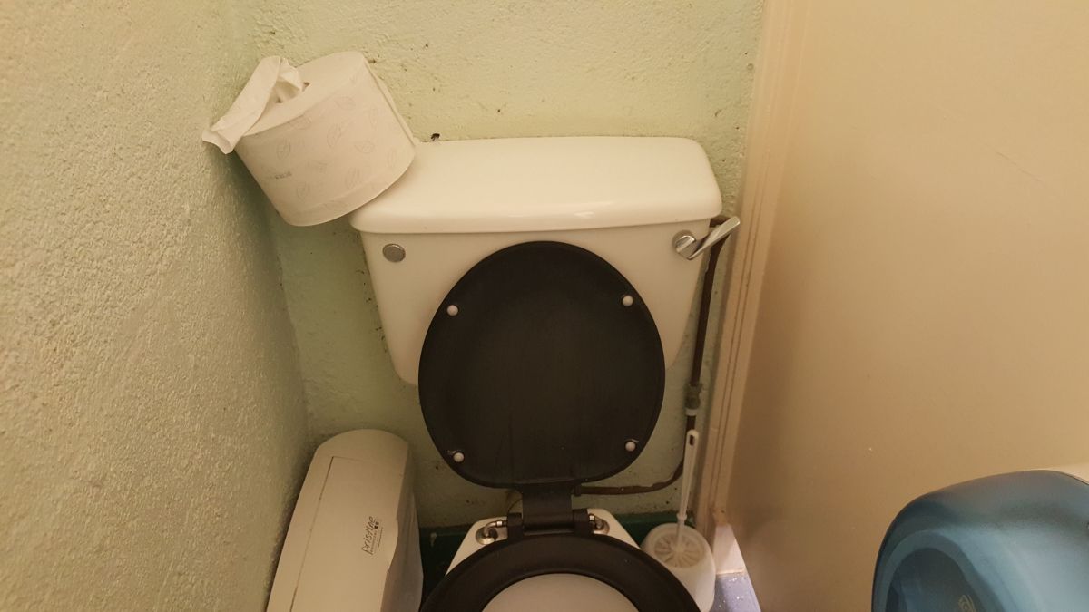 Image may contain: Toilet