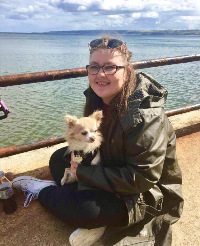 Image may contain: Terrier, Pet, Mammal, Dog, Canine, Animal