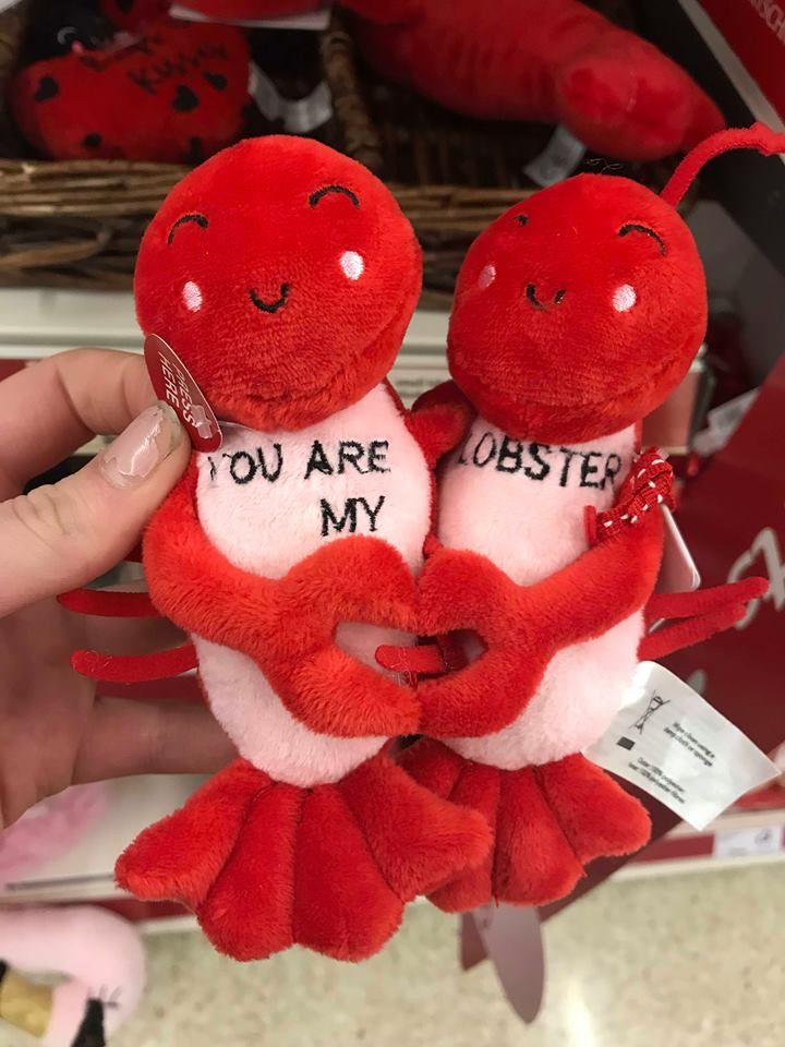 Image may contain: Person, Human, Toy, Plush, Sweets, Food, Confectionery