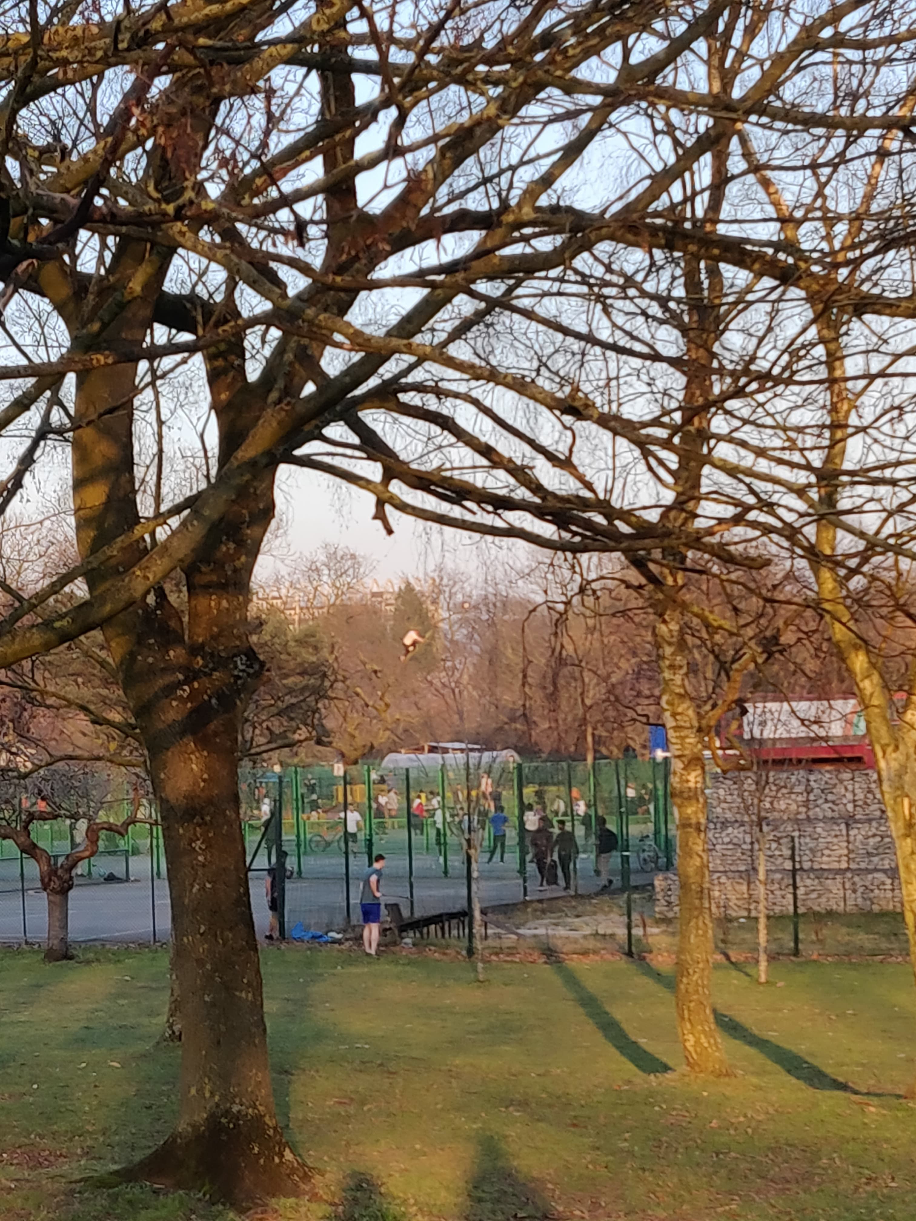 Image may contain: Park, Lawn, Play Area, Playground, Outdoors, Tree, Grass, Plant, Person, Human