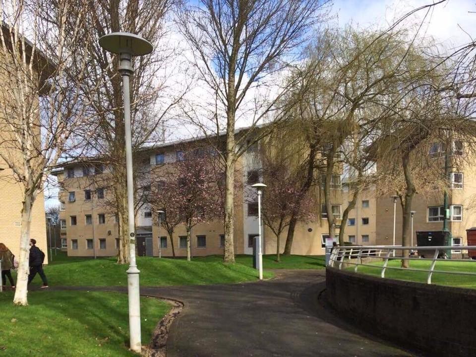 Image may contain: Building, Lamp Post, Tree, Outdoors, Urban, Plant, Grass, Human, Person