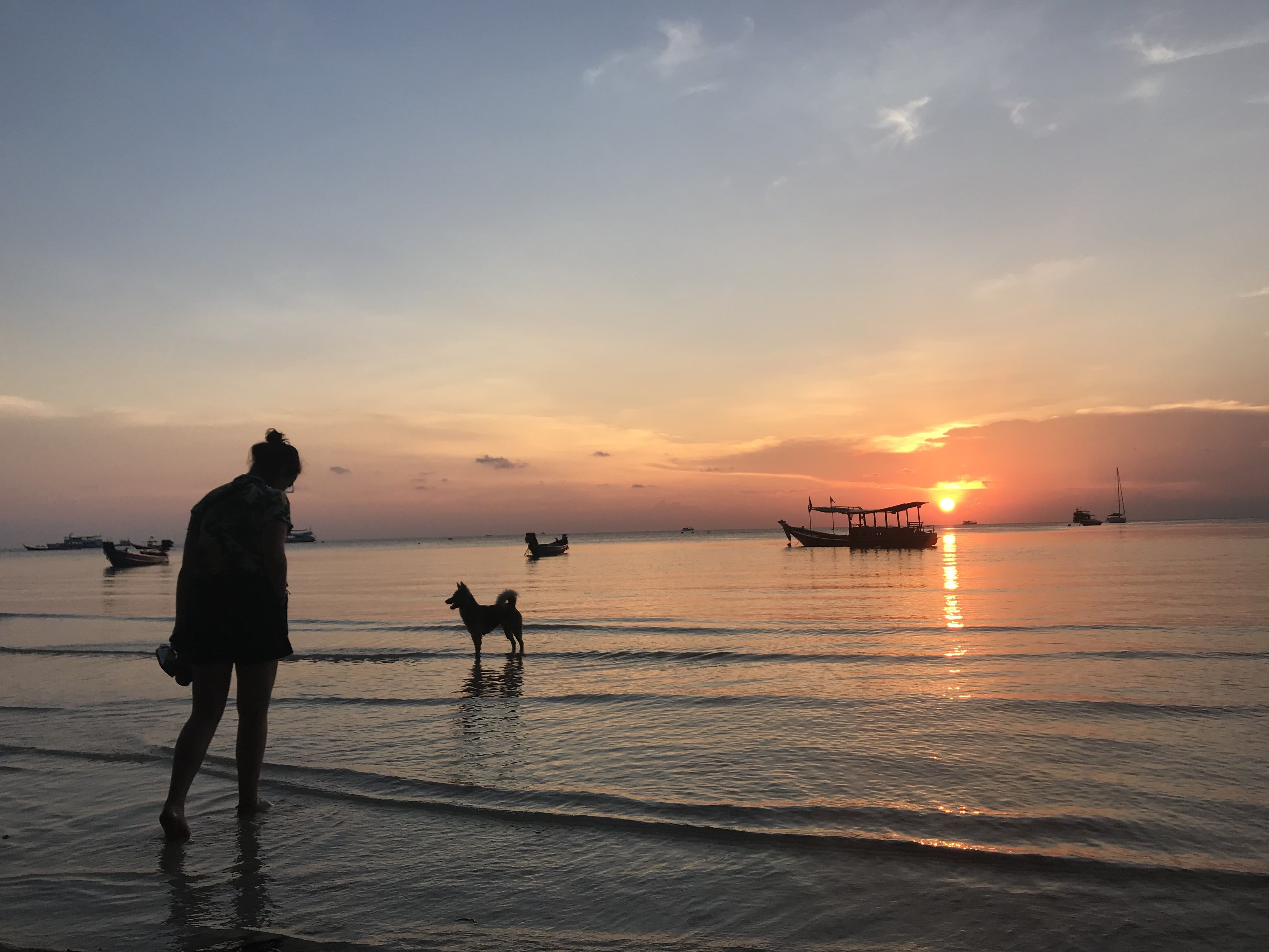 Image may contain: Animal, Dog, Canine, Mammal, Pet, Sunlight, Silhouette, Beach, Coast, Shoreline, Red Sky, Dawn, Sunset, Dusk, Sky, Vehicle, Boat, Transportation, Ocean, Sea, Human, Person, Water, Outdoors, Nature