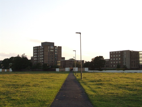 leazes