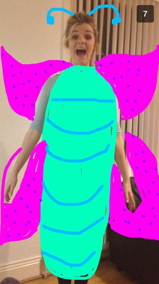 butterfly