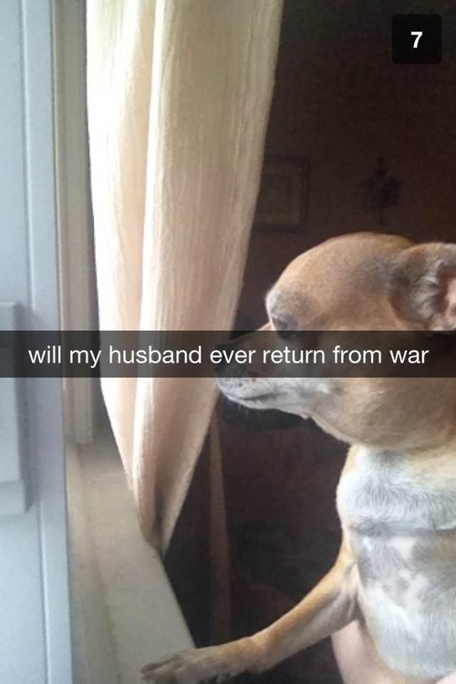 war