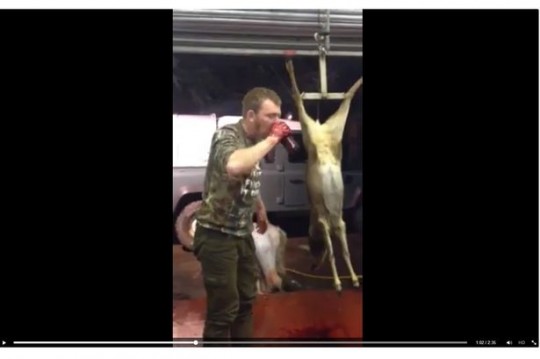 The cruel video shows the deer hanging in the background