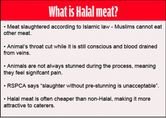 halal2