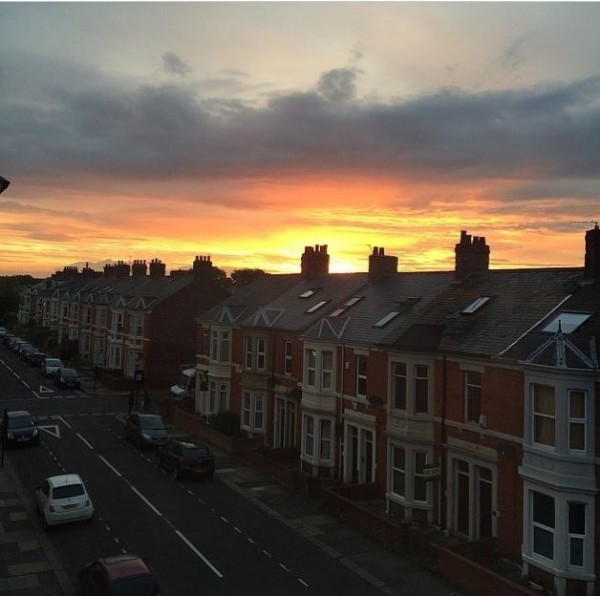 jesmond dream 2