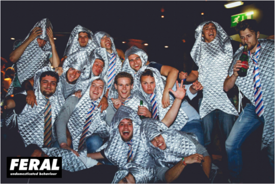 Undomesticated behaviour in the Den last year.