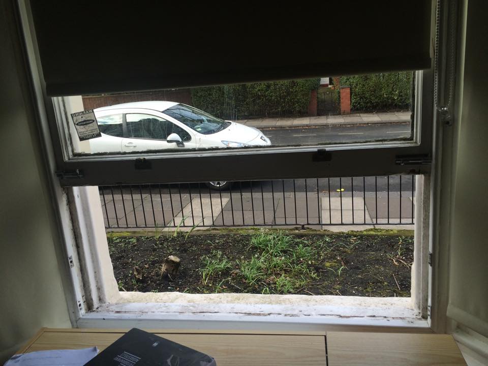window