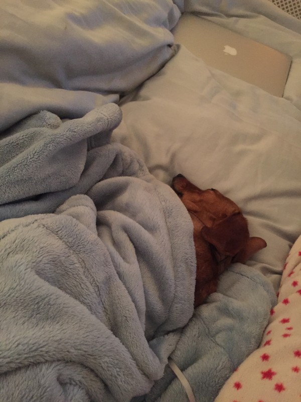 What being hungover at home feels like