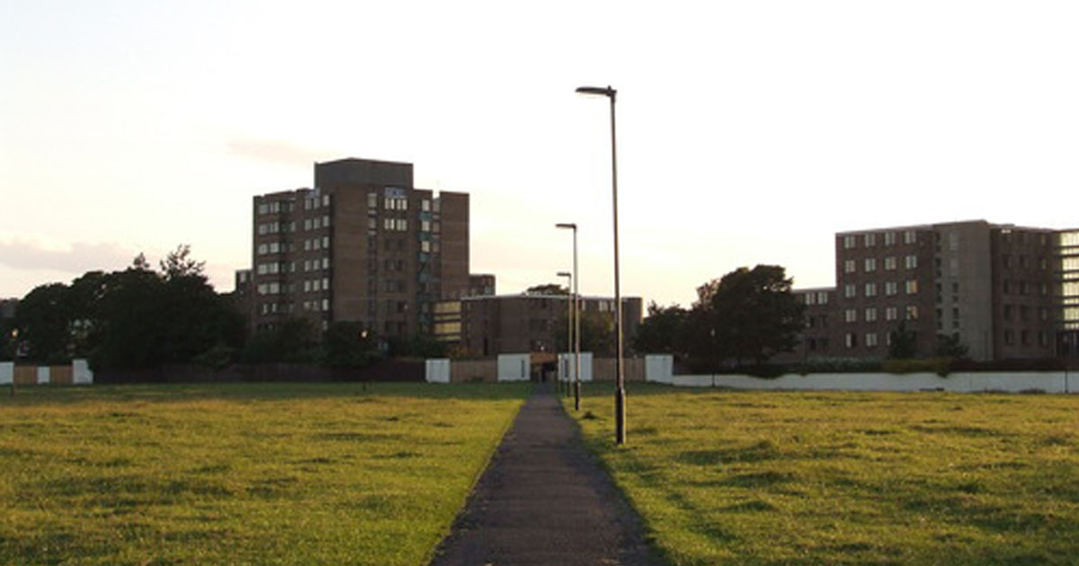 Glorious Leazes