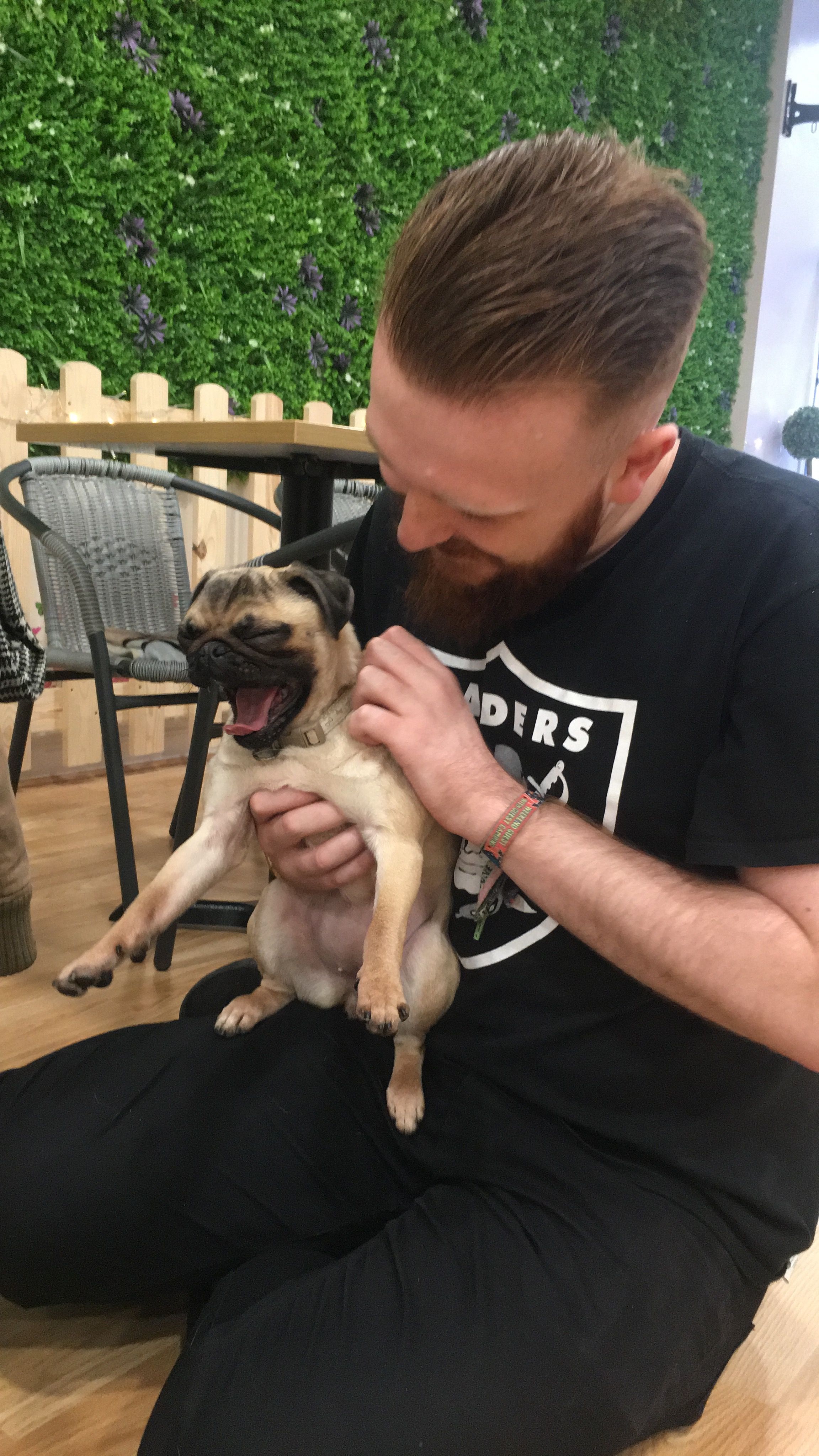 Image may contain: Potted Plant, Plant, Pug, Pet, Mammal, Dog, Canine, Animal, Human, Person, People