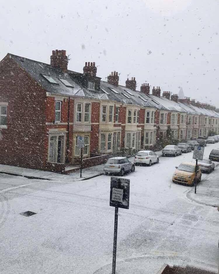 Image may contain: Snow, Outdoors