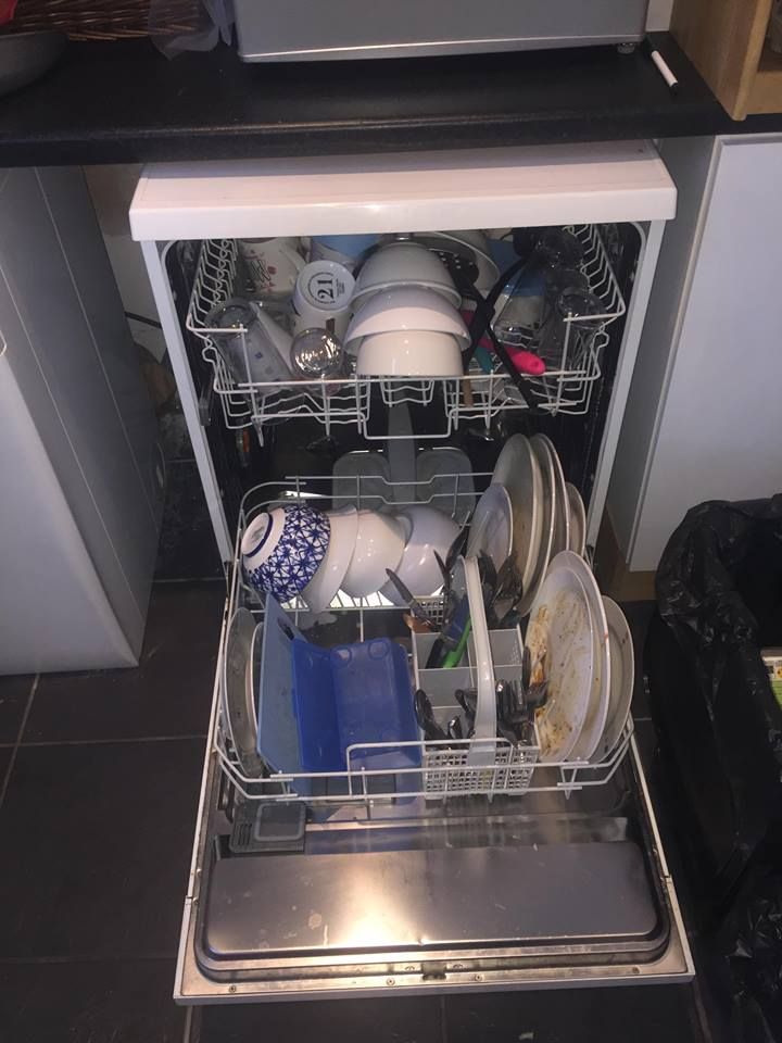 Image may contain: Dishwasher, Appliance