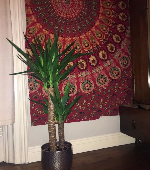 Image may contain: Tree, Tapestry, Ornament, Flower, Blossom, Art, Plant