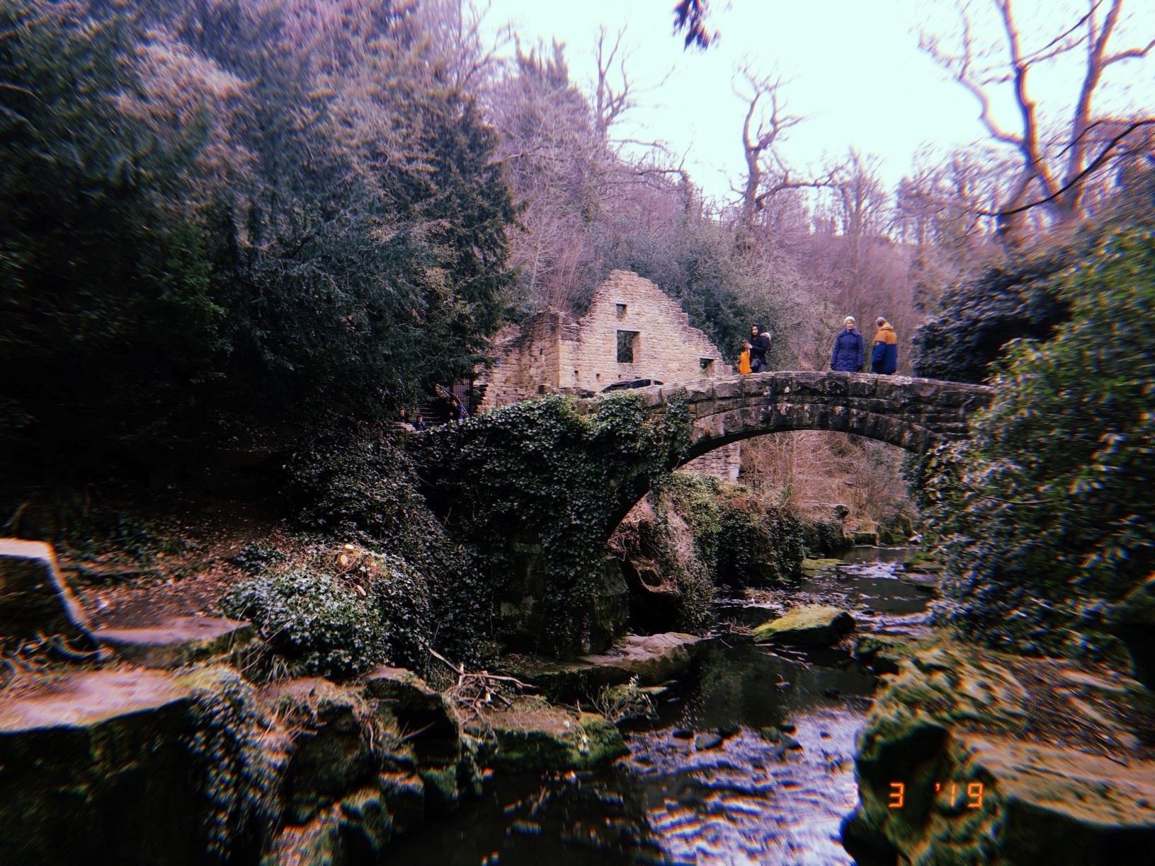 Image may contain: Abies, Fir, Moat, Tree, Fort, Plant, Nature, Water, Ditch, Architecture, Castle, Building, Outdoors, Human, Person