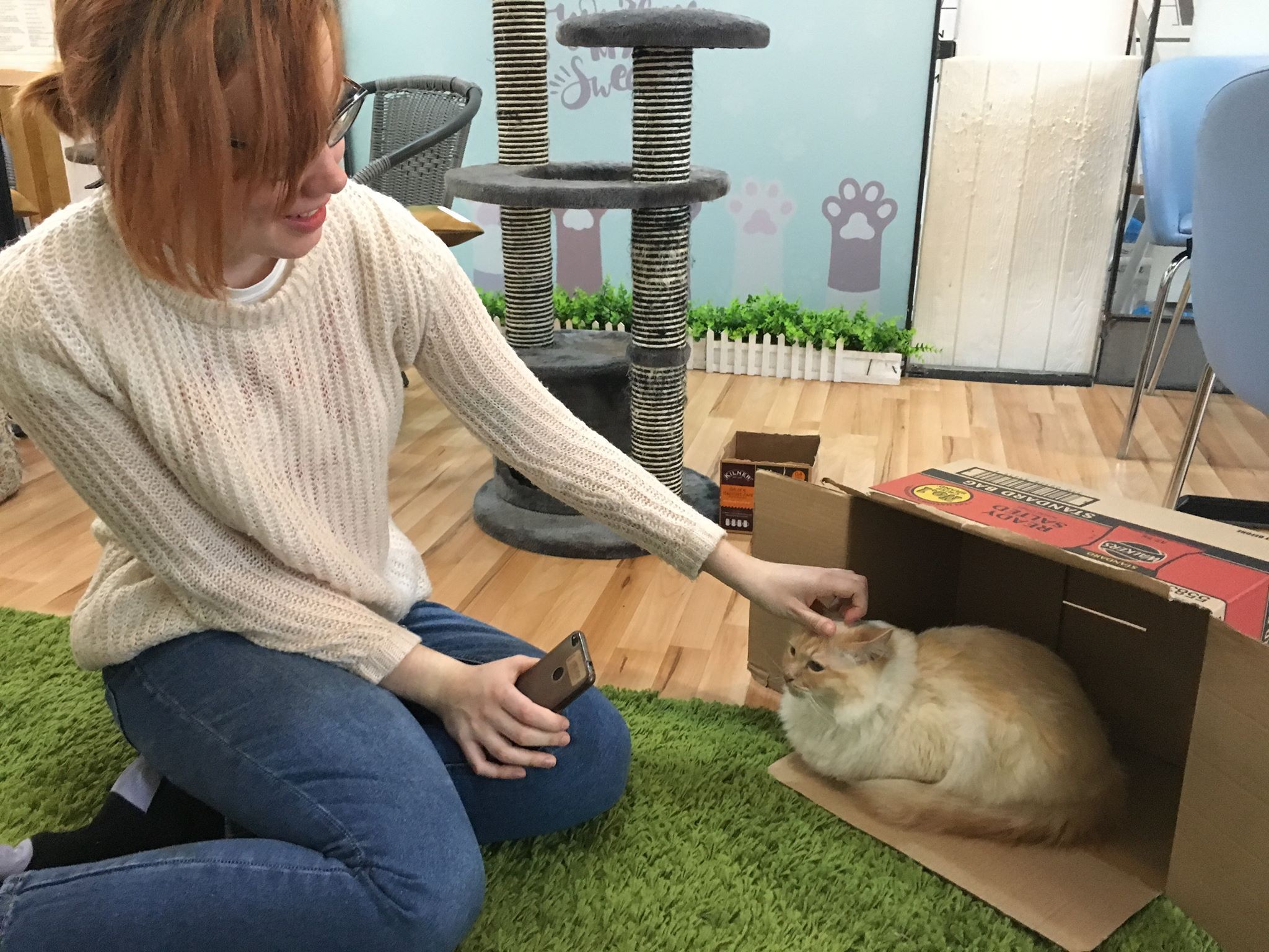 Image may contain: Plywood, Bunny, Rodent, Rabbit, Box, Clothing, Apparel, Mammal, Cat, Pet, Animal, Wood, Person, Human