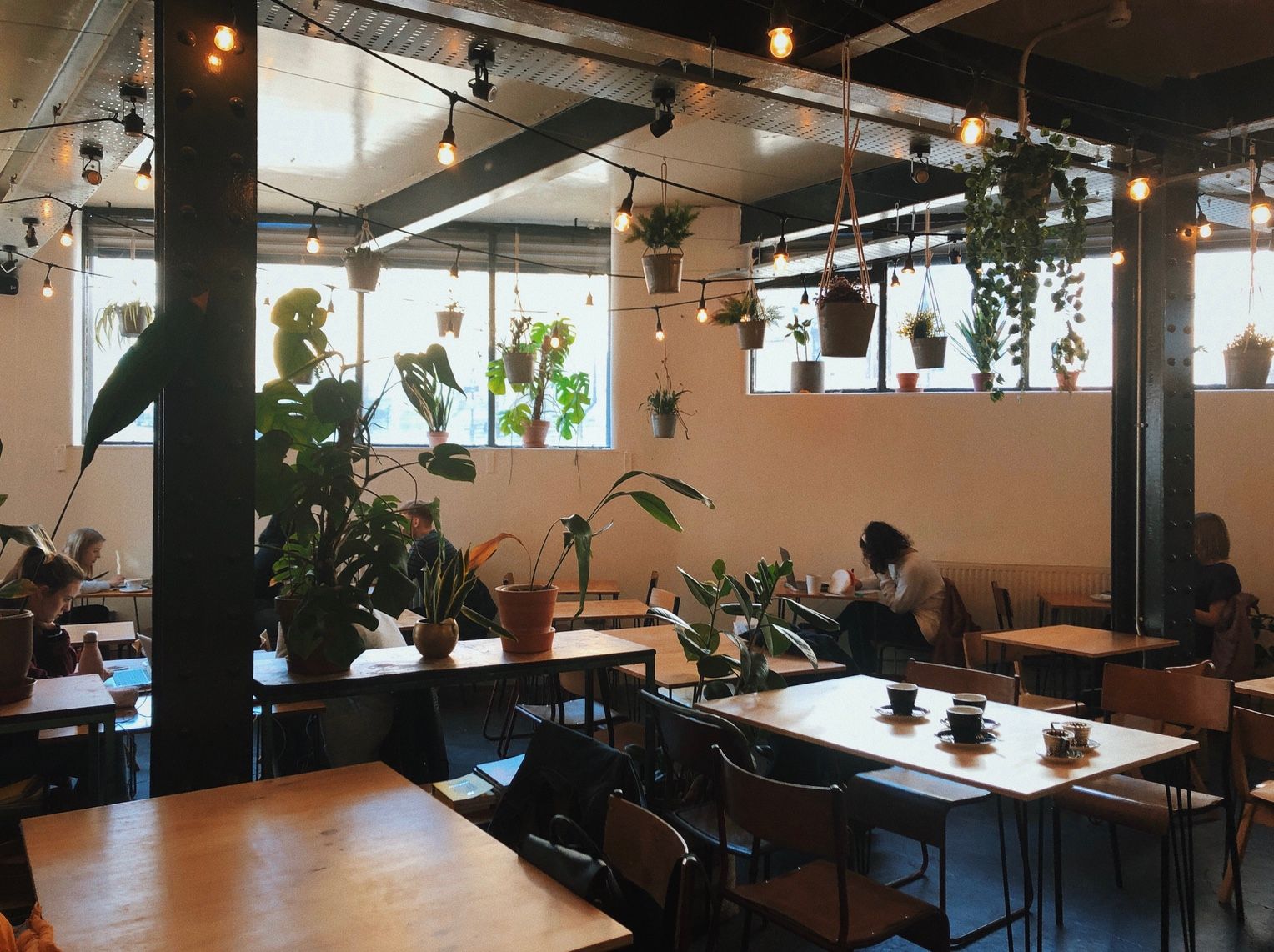 Image may contain: Plywood, Food, Food Court, Wood, Cafe, Cafeteria, Human, Person, Chair, Furniture, Restaurant