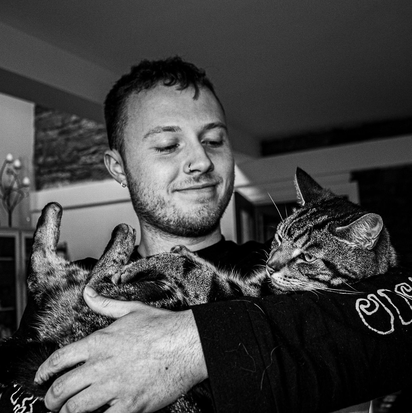 Image may contain: Mammal, Cat, Animal, Pet, Furniture, Couch, Finger, Beard, Face, Person, Human