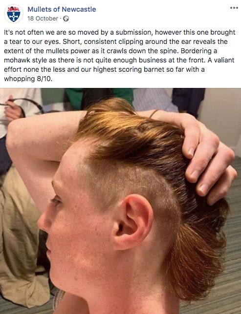 Image may contain: Face, Haircut, Person, Human, Hair, Head