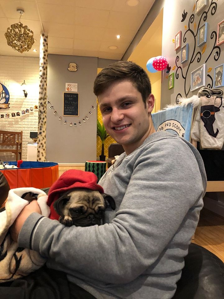 Image may contain: Pet, Pug, Dog, Canine, Animal, Mammal, Person, Human