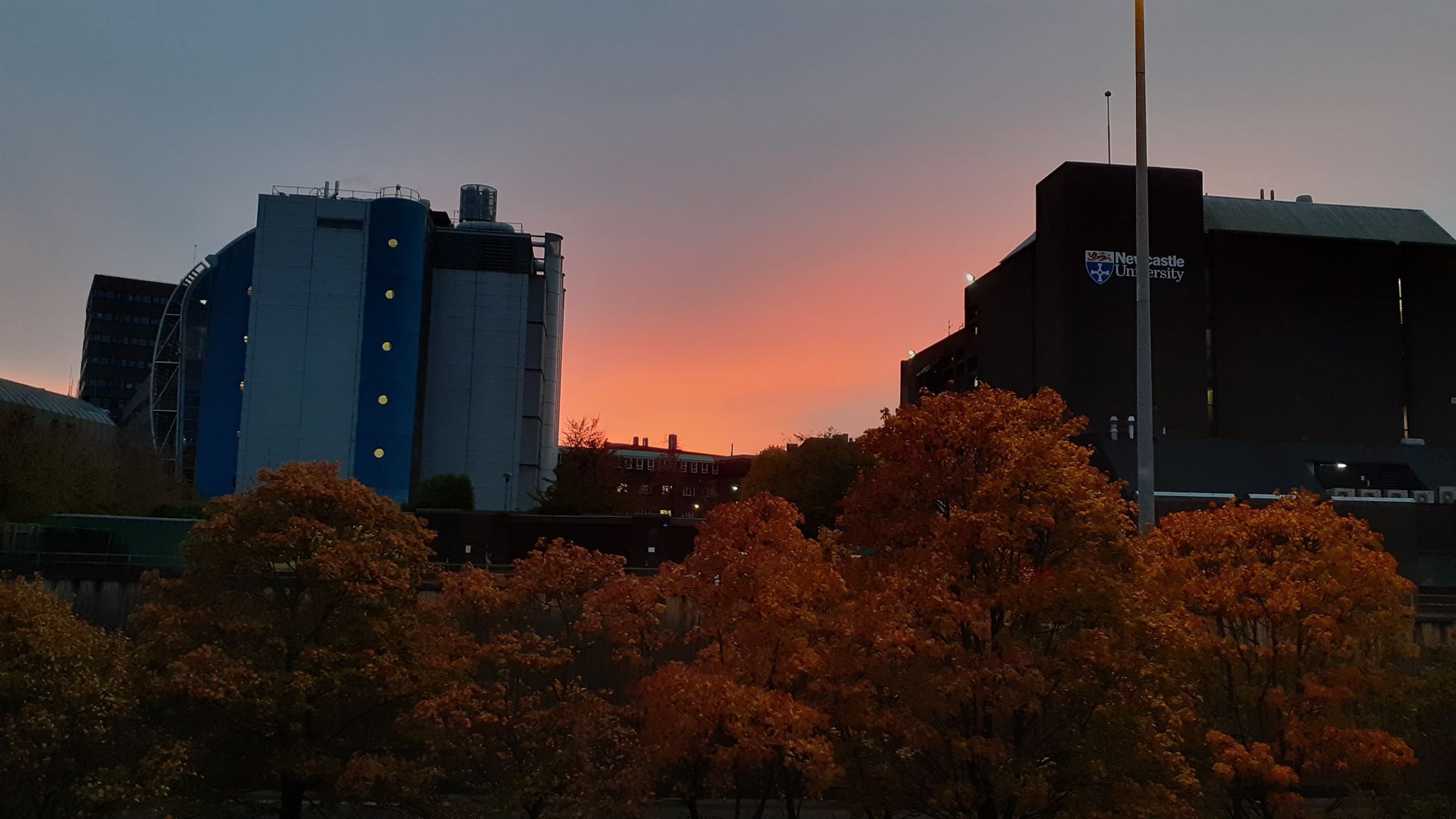 Image may contain: Tree, Plant, Factory, Dusk, Red Sky, Sunset, Sky, Dawn, Outdoors, Building, Nature