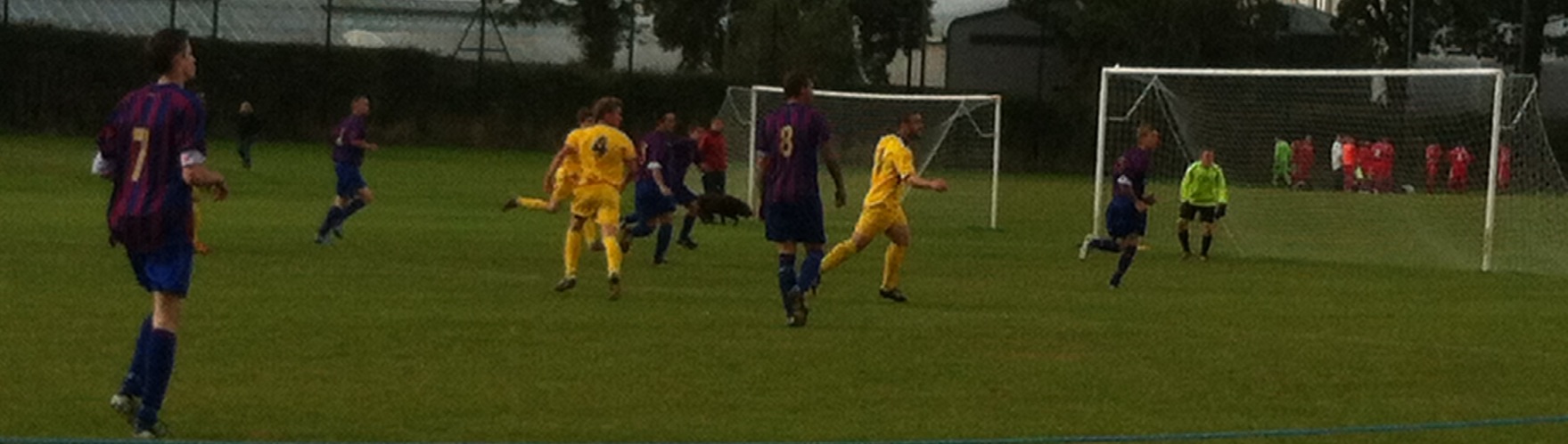 photo (11)