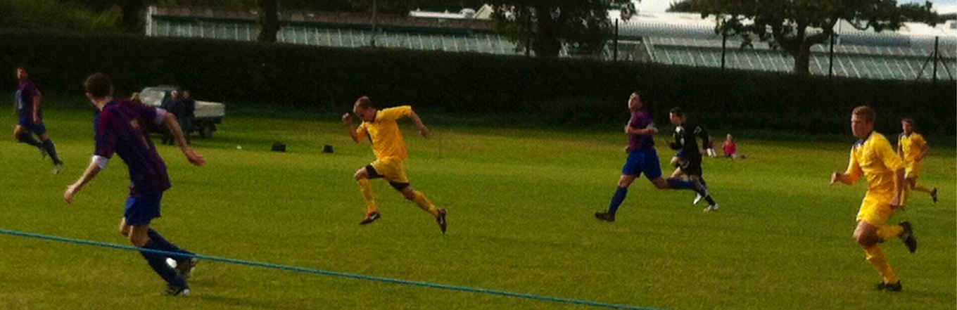 photo (14)
