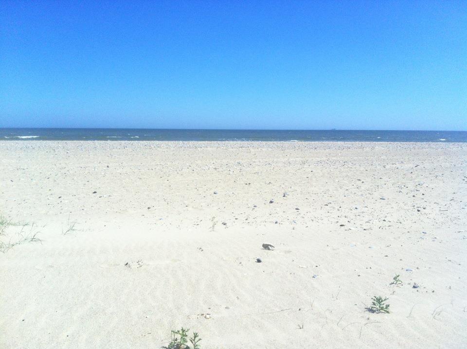 winterton