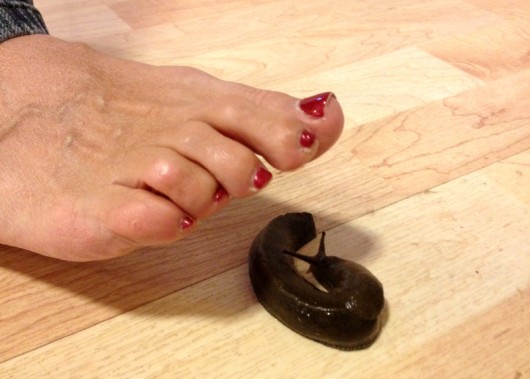 Foot-by-slug-in-kitchen-edited (1)