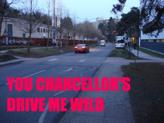 CD WILD