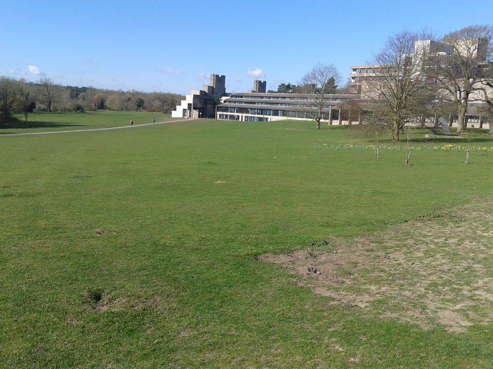 uea 3