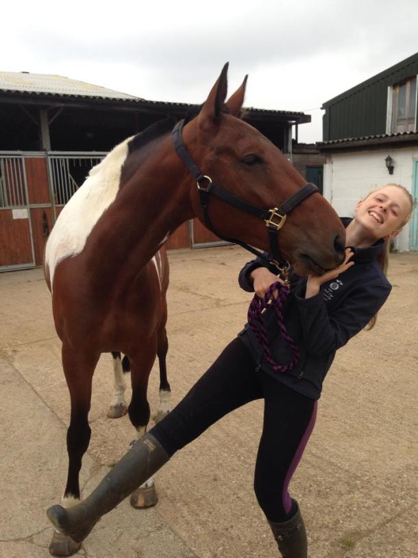 Quit horsing around