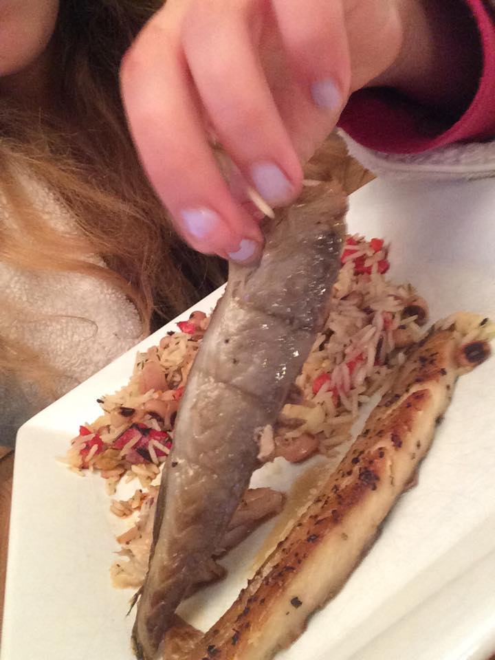 mackerel