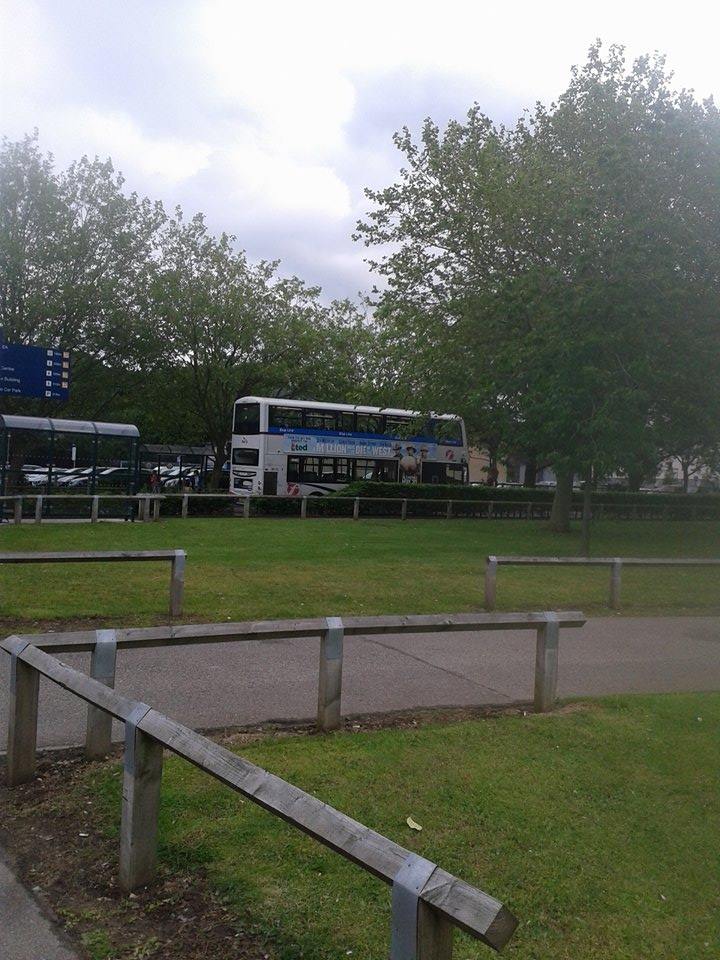 bus