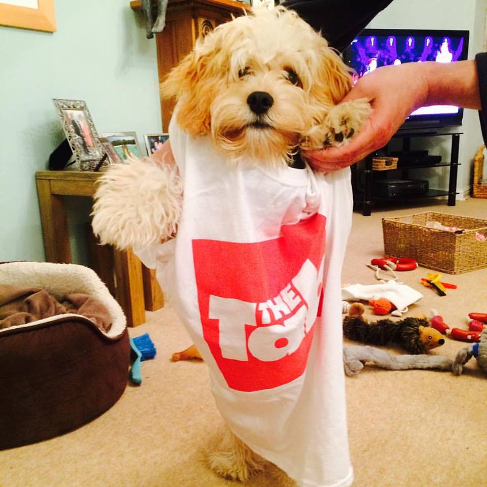 The only 'doggy' we know