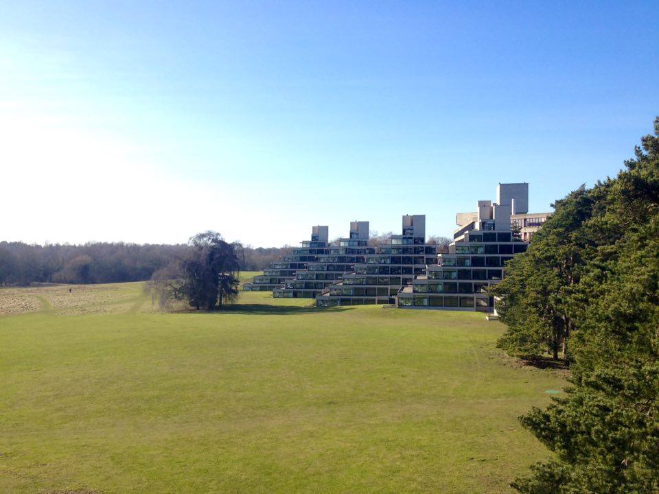 ziggurats1