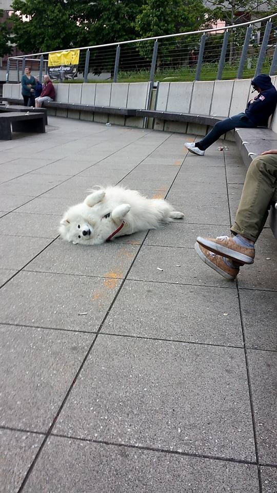 UEA's guardian angel. 