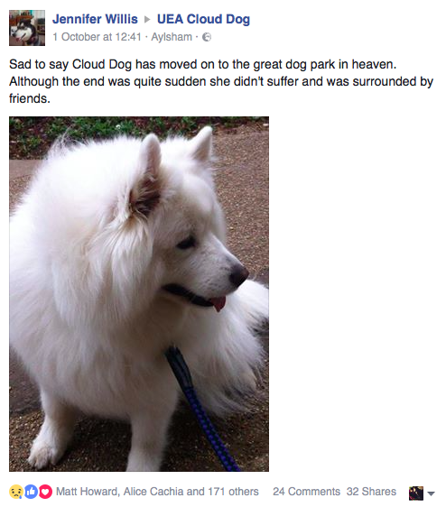 The Facebook post that is solely responsible for Norfolk's broken heart