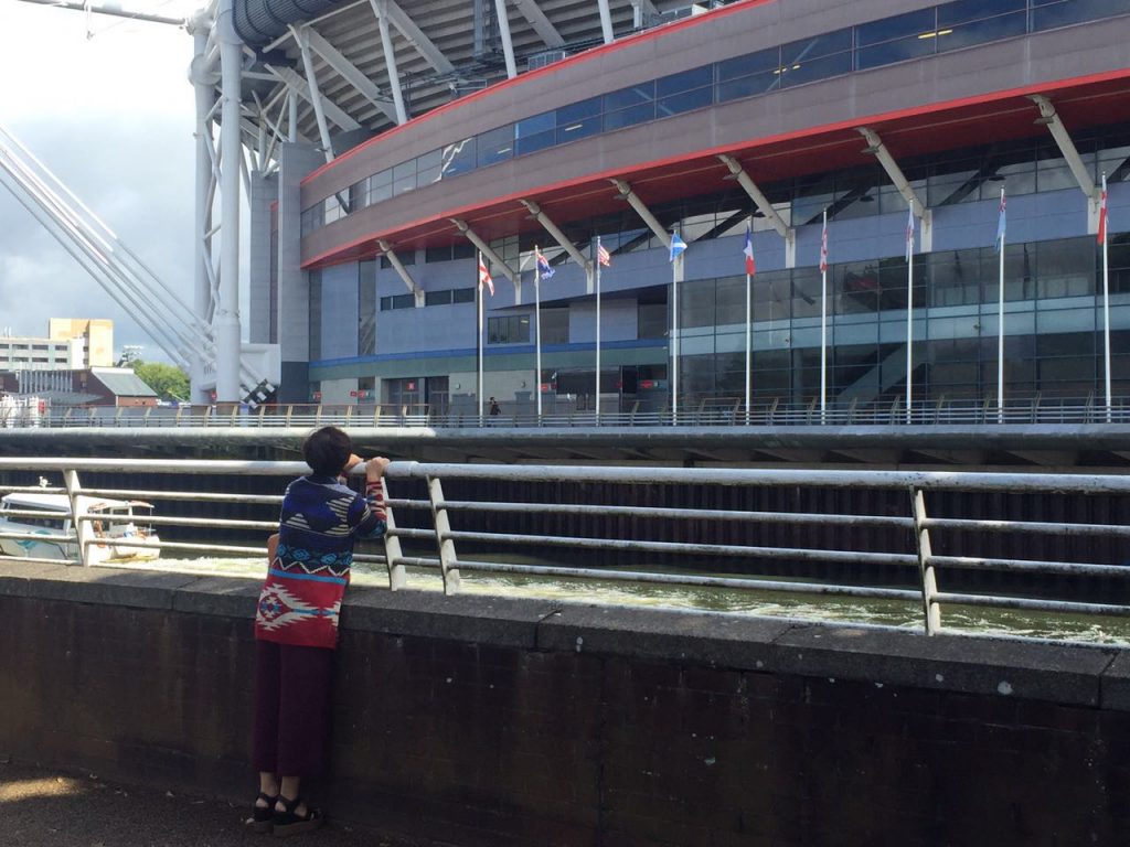 Cardiff. Overlooking the Millennium Stadium.