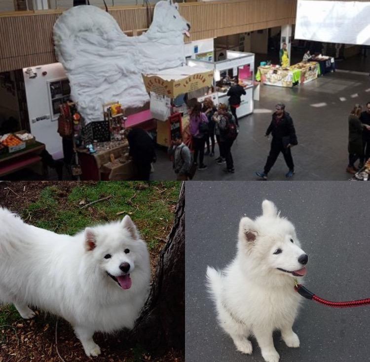 Cloud Dog (bottom left) and Bella or Cloud Puppa (bottom right).