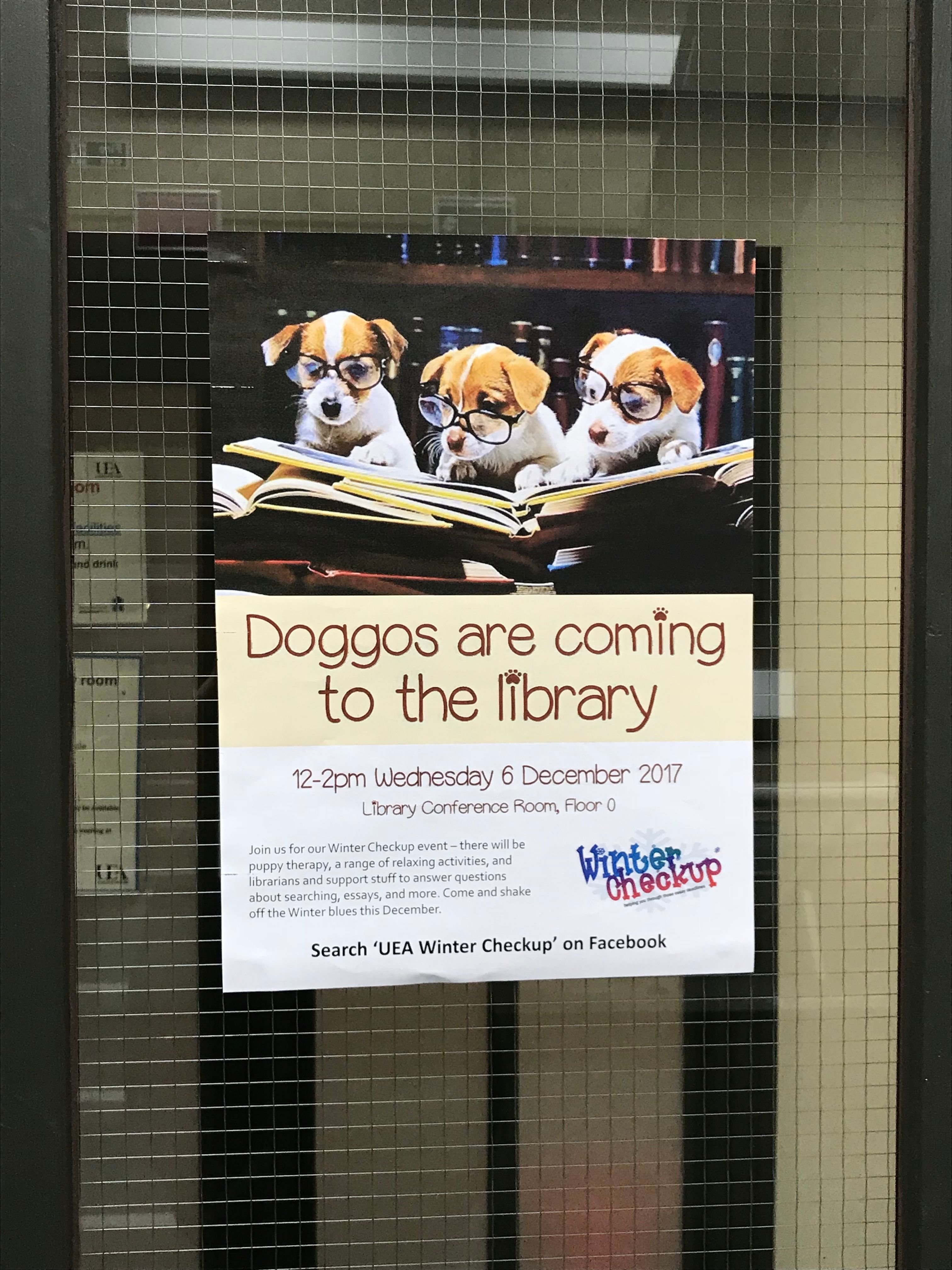 Image may contain: Poster, Paper, Flyer, Brochure, Pug, Pet, Mammal, Dog, Canine, Animal