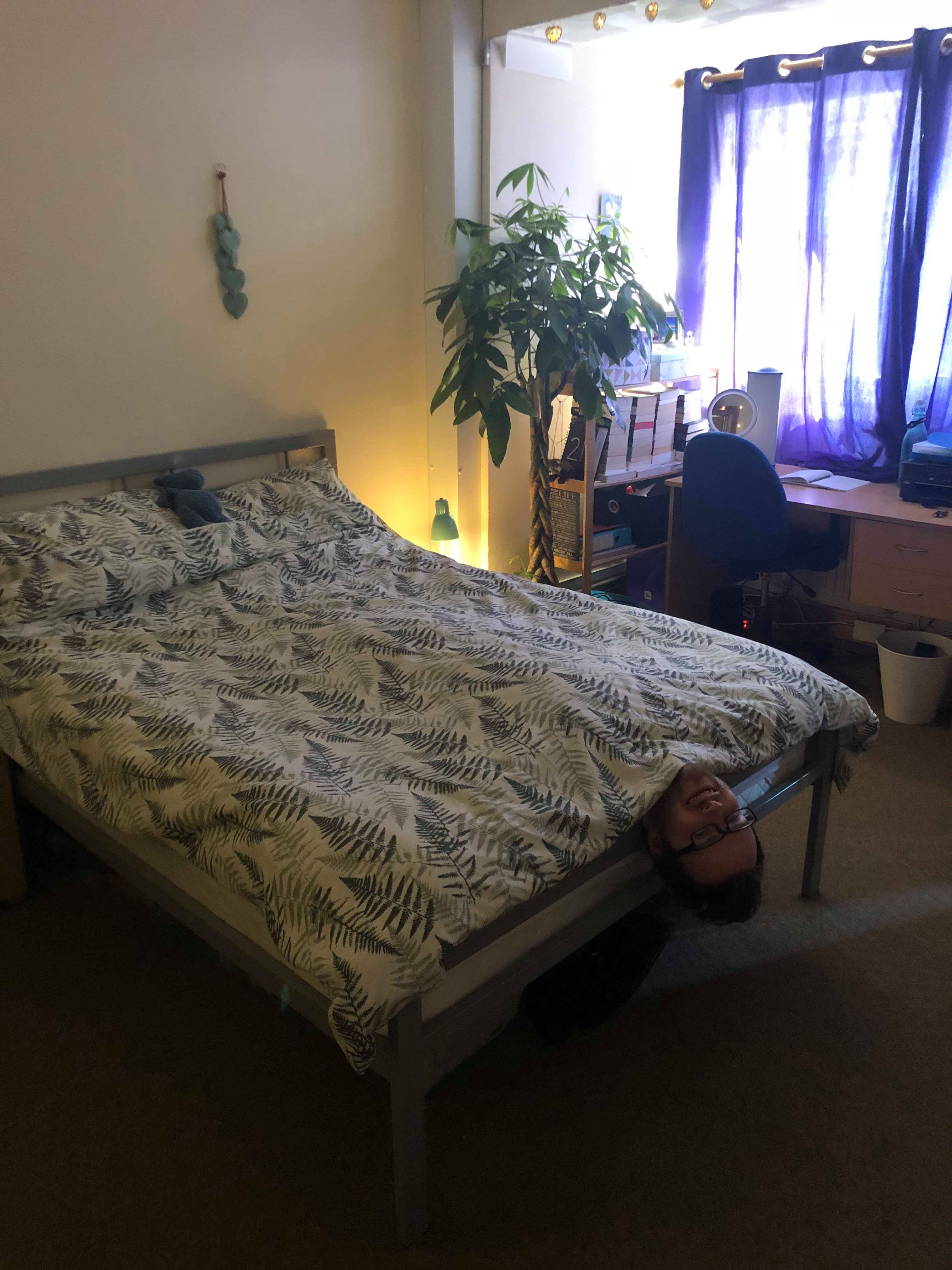 Image may contain: Flooring, Bed, Room, Indoors, Bedroom, Furniture