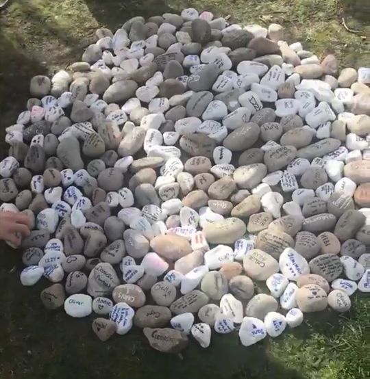 Image may contain: Rock, Rug, Pebble