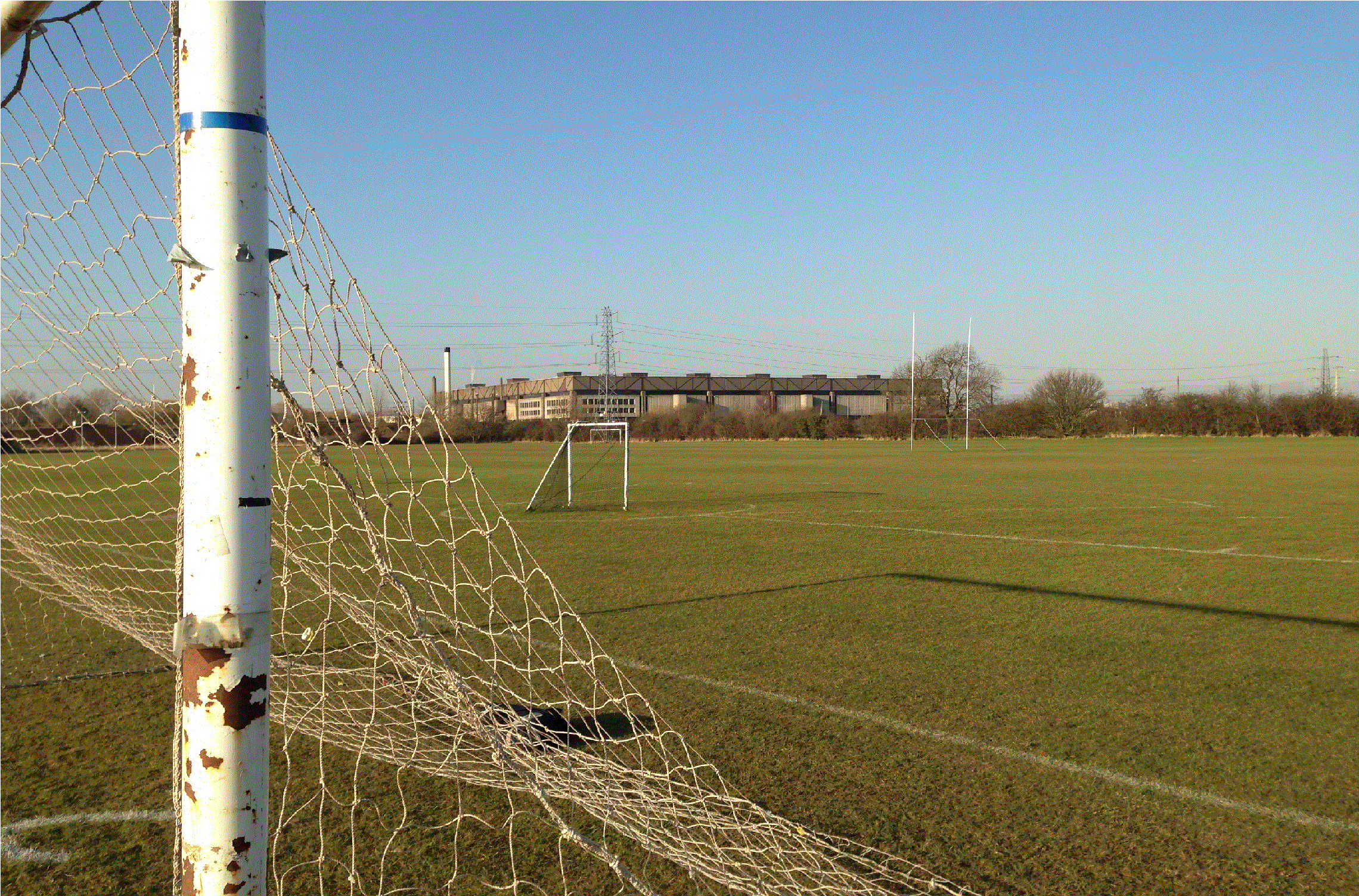 Grove Pitches