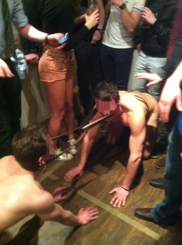 lizard-fight