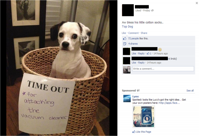 A shocking example of animal cruelty