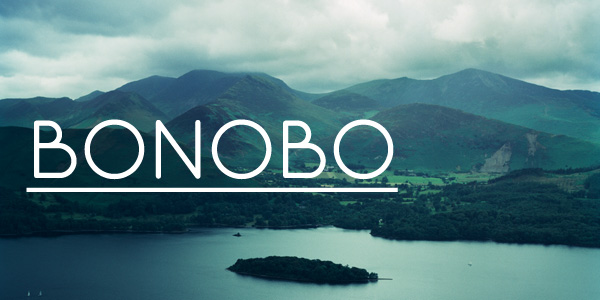 bonobo-with-text