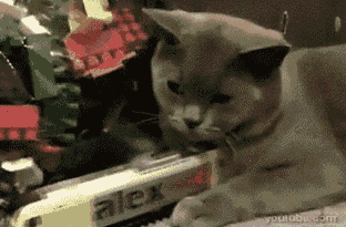 The questions are too hard. The paper is too long. It's all become a little bit to much to handle.